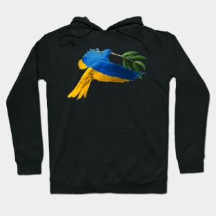 Ukraine And Ukrainian Hope Symbol Hoodie